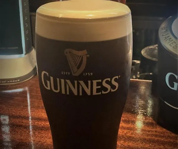 Mcnulty'S Guest House * 恩尼斯克朗